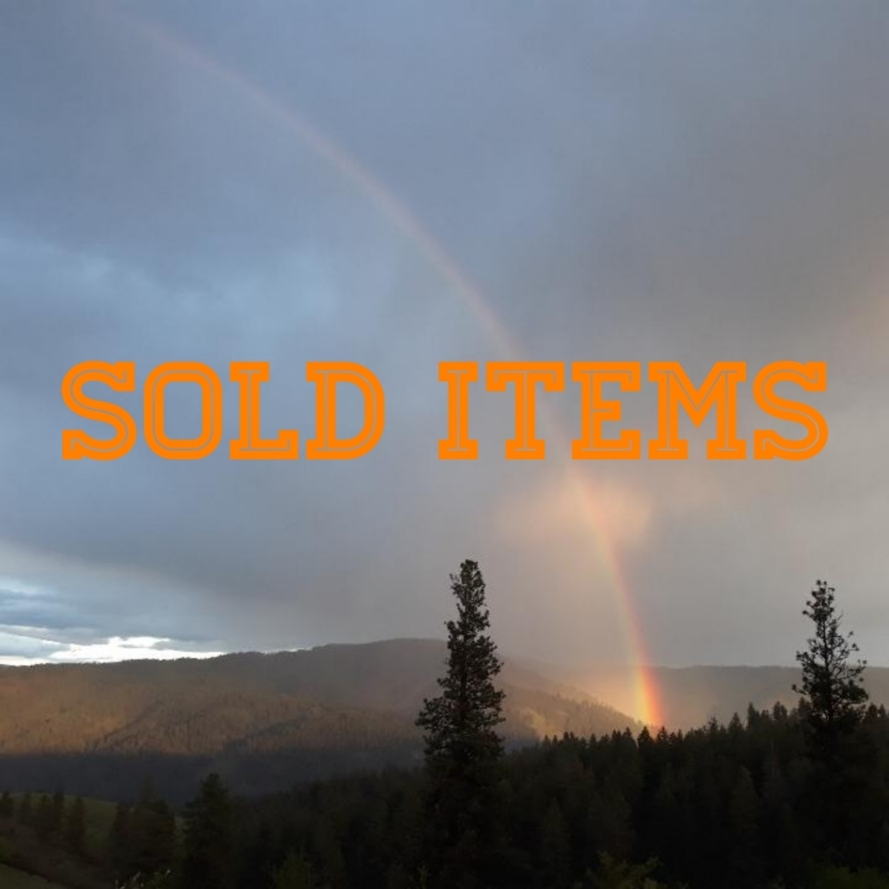 Past Sales 🌈